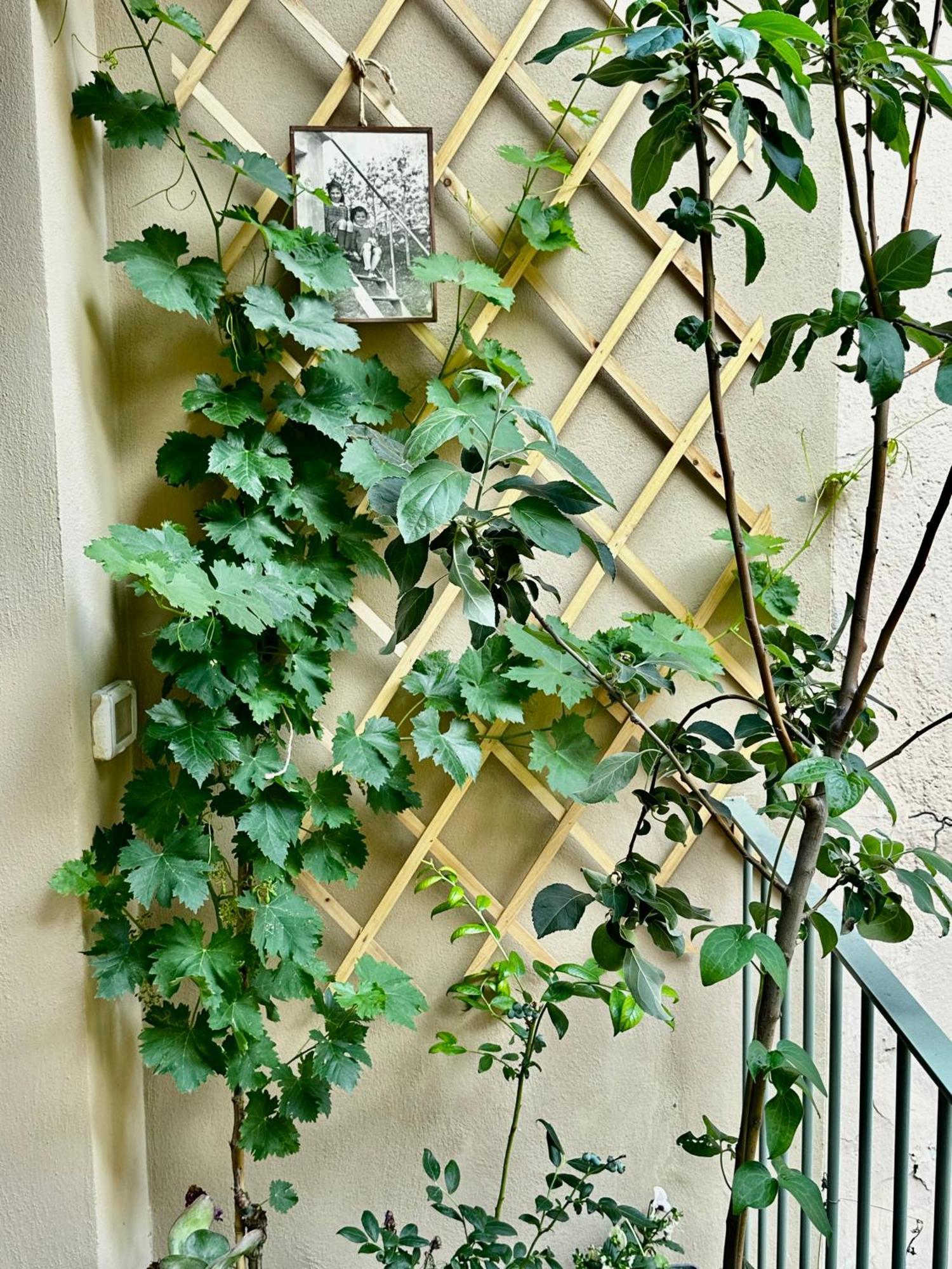 Il Balconcino Del Centro Storico Apartman Torino Kültér fotó